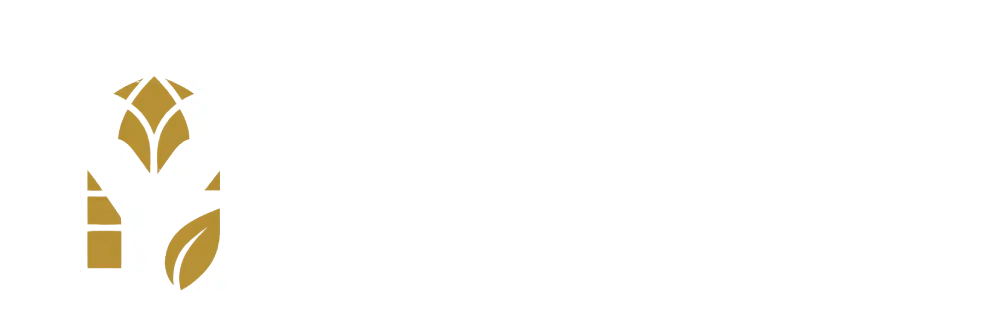 يحيى الضبياني ستور